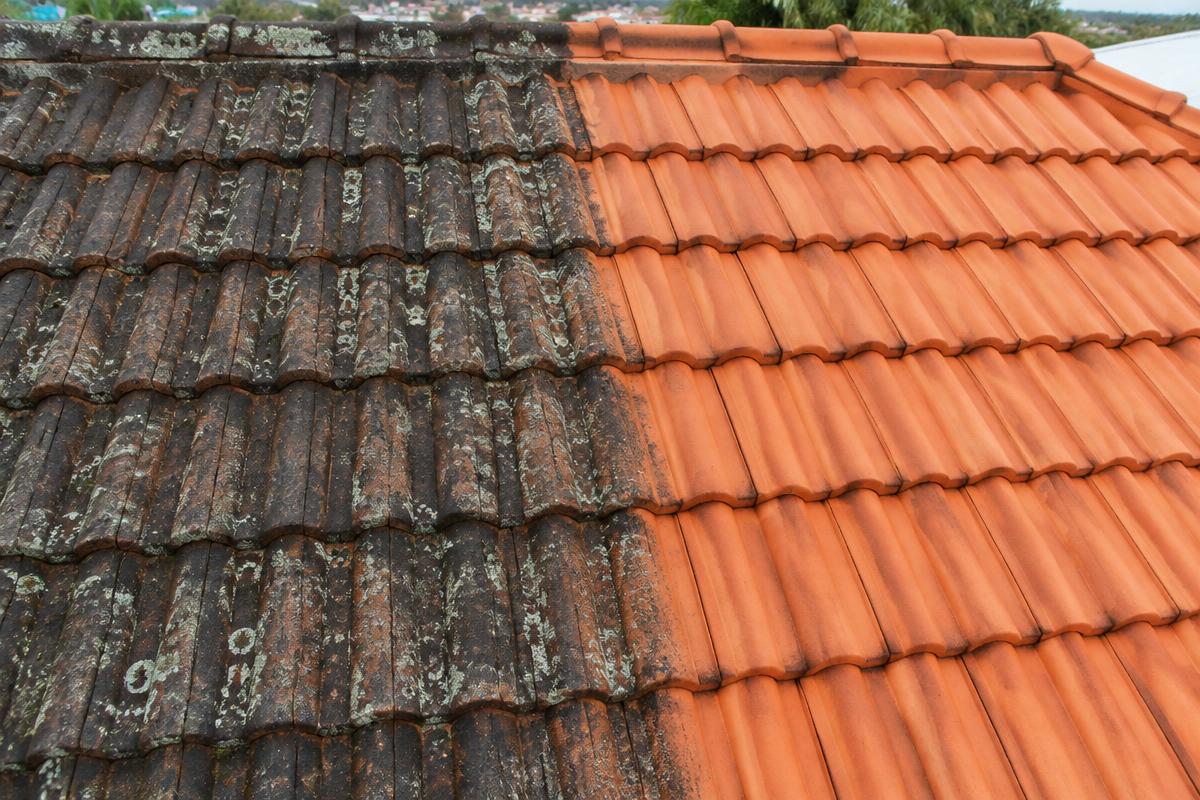Technician soft washing a tiled roof